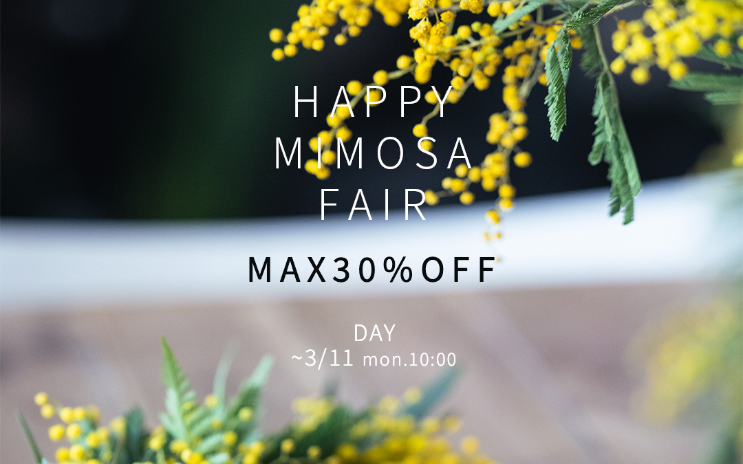 Happy Mimosa Fair 2024